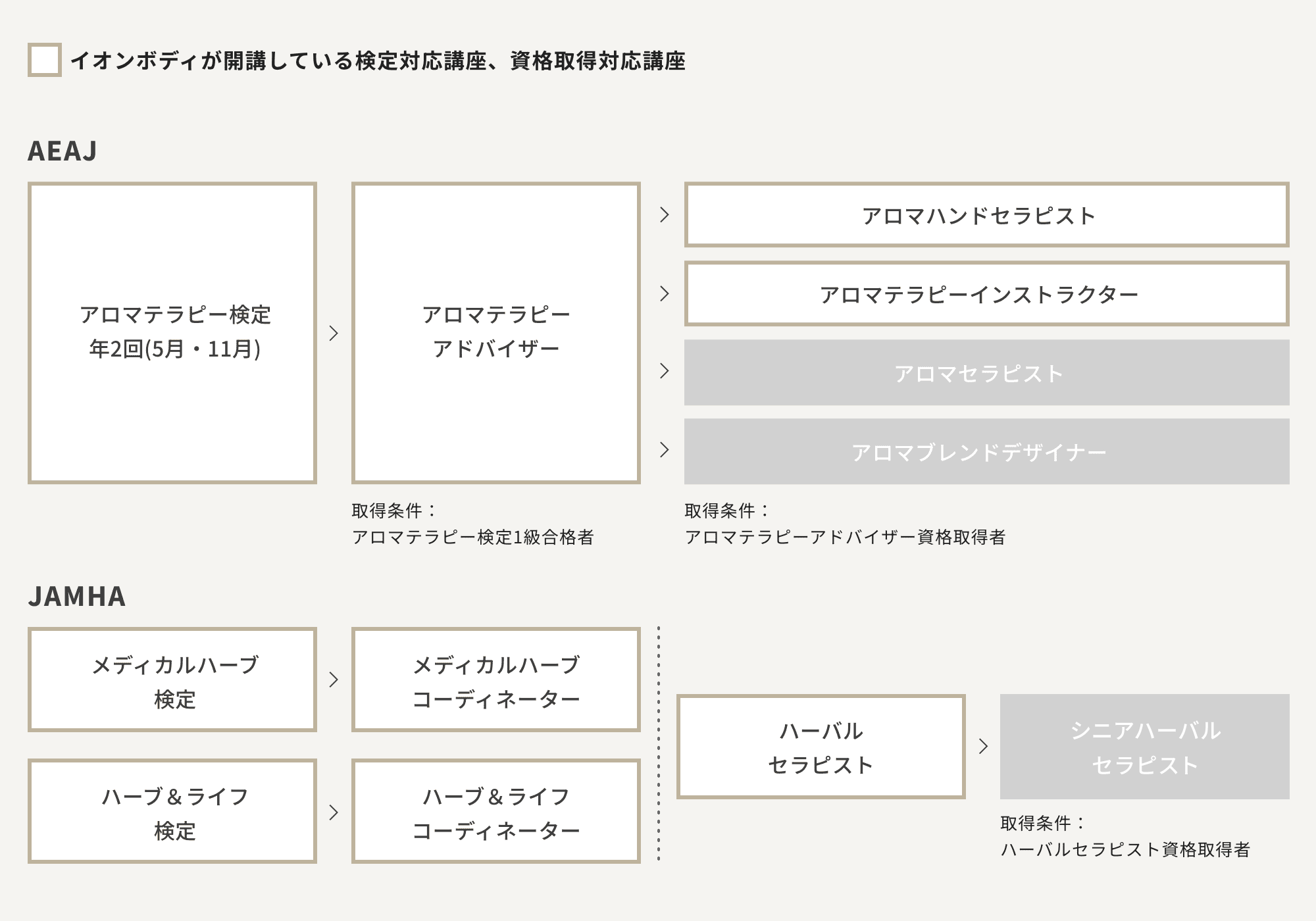 資格取得の流れ
