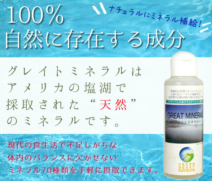 安全Shopping グレイトミネラル 100mL<br> ミネラルサプリ マグネシウム ミネラル サプリ にがり 水溶性 ミネラルバランス 