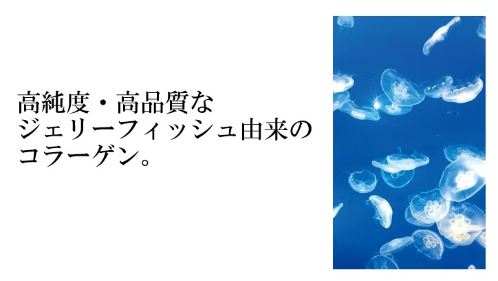 ジェリーフィッシュ由来のコラーゲン