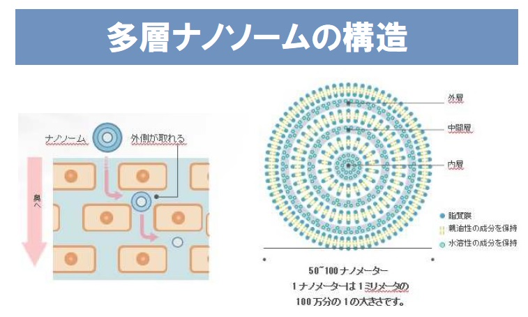 多層ナノソームの構造